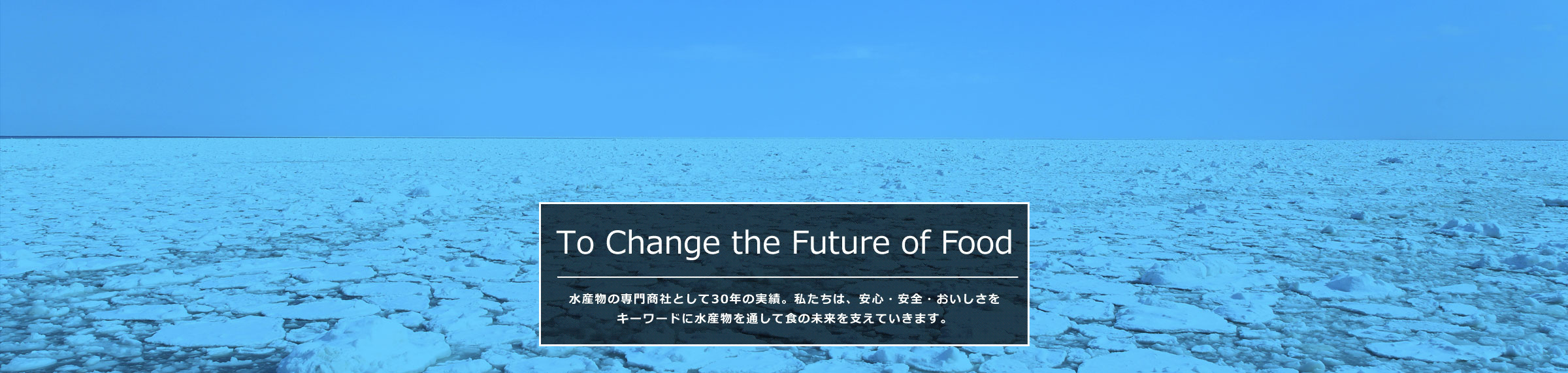 To Change the Future of Food 水産物の専門商社として30年の実績。私たちは、安心・安全・おいしさをキーワードに水産物を通して食の未来を支えていきます。