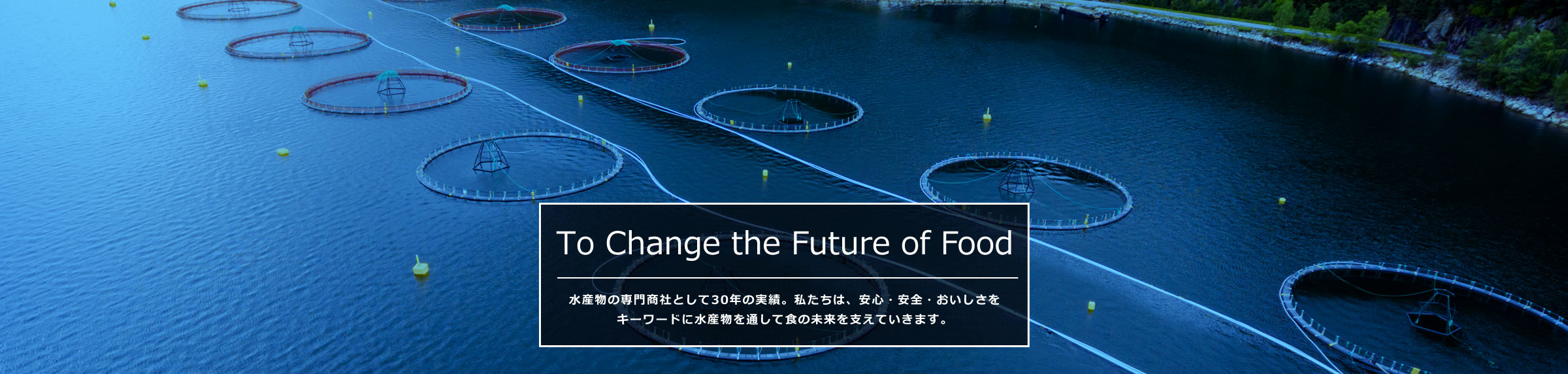 To Change the Future of Food 水産物の専門商社として30年の実績。私たちは、安心・安全・おいしさをキーワードに水産物を通して食の未来を支えていきます。
