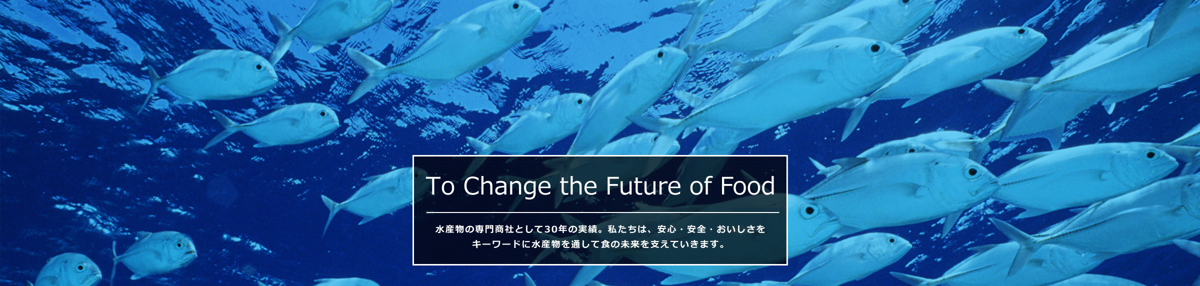 To Change the Future of Food 水産物の専門商社として30年の実績。私たちは、安心・安全・おいしさをキーワードに水産物を通して食の未来を支えていきます。